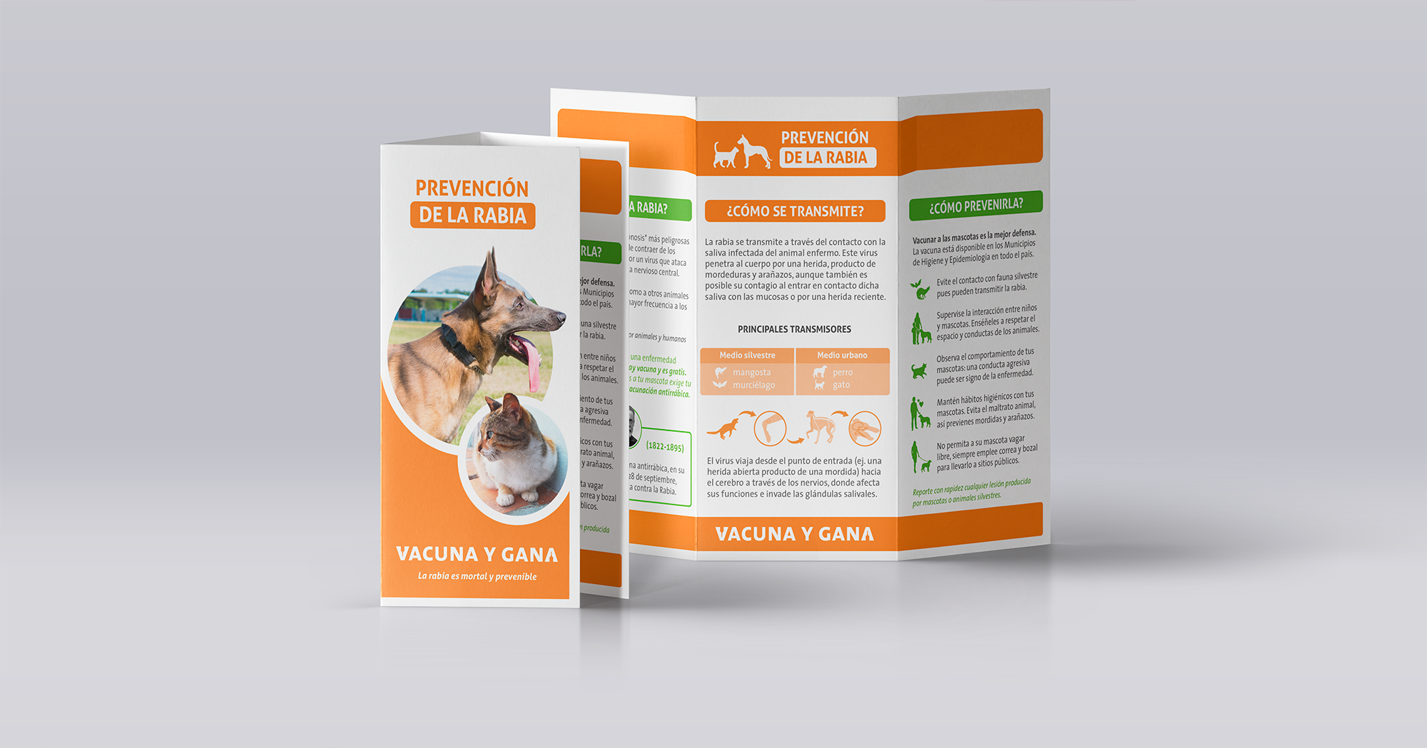 Tri-Fold brochure